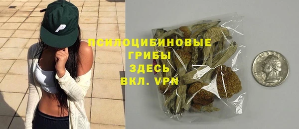 гашик Алексин