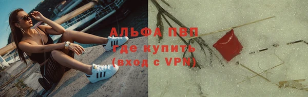 ПСИЛОЦИБИНОВЫЕ ГРИБЫ Алзамай