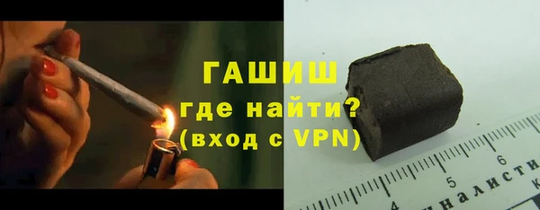 гашик Алексин