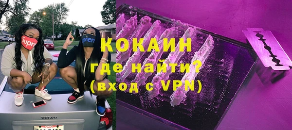 гашик Алексин