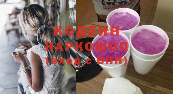 гашик Алексин